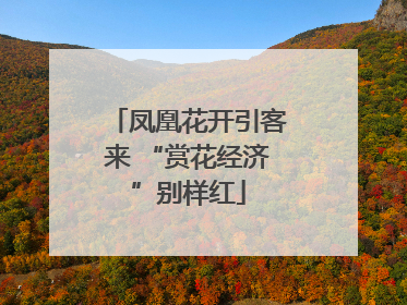 凤凰花开引客来 “赏花经济”别样红