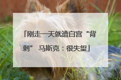 刚走一天就遭白宫“背刺” 马斯克：很失望
