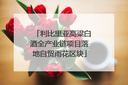 利比里亚高粱白酒全产业链项目落地自贸雨花区块