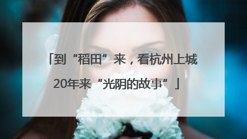 到“稻田”来，看杭州上城20年来“光阴的故事”