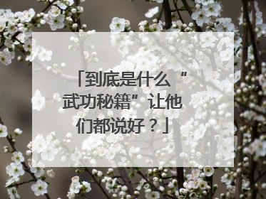 到底是什么“武功秘籍”让他们都说好？