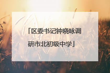 区委书记钟晓咏调研市北初级中学