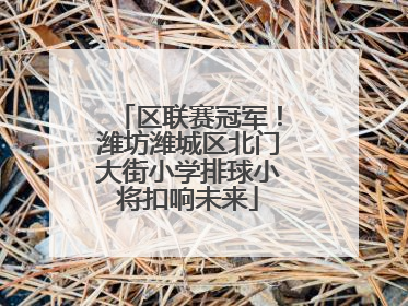 区联赛冠军！潍坊潍城区北门大街小学排球小将扣响未来