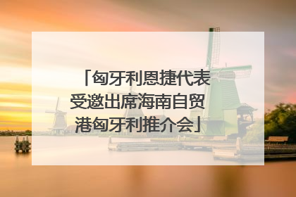 匈牙利恩捷代表受邀出席海南自贸港匈牙利推介会