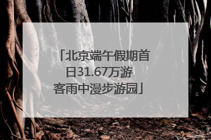 北京端午假期首日31.67万游客雨中漫步游园