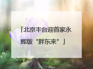 北京丰台迎首家永辉版“胖东来”