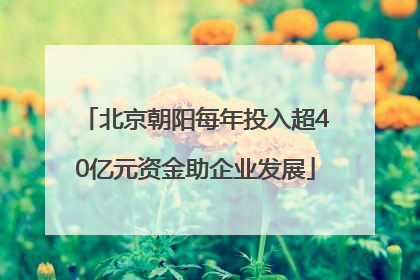 北京朝阳每年投入超40亿元资金助企业发展