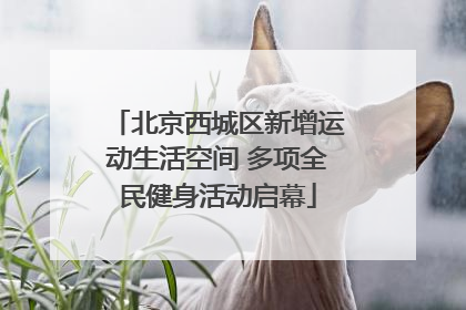 北京西城区新增运动生活空间 多项全民健身活动启幕