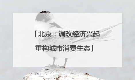 北京：调改经济兴起 重构城市消费生态