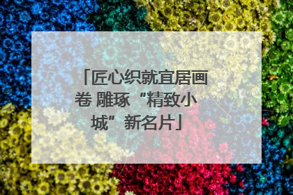 匠心织就宜居画卷 雕琢“精致小城”新名片