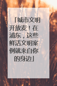 城市文明开放麦！在浦东，这些鲜活文明案例就来自你的身边
