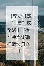坚决打赢“三夏”攻坚战丨“抢”字当头确保颗粒归仓