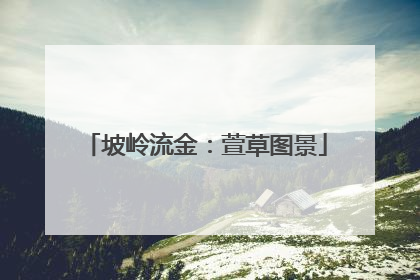 坡岭流金：萱草图景