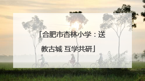 合肥市杏林小学：送教古城 互学共研