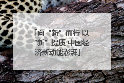 向“新”而行 以“新”提质 中国经济新动能澎湃