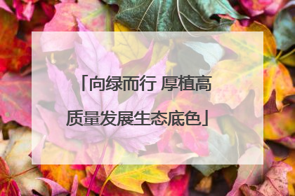 向绿而行 厚植高质量发展生态底色