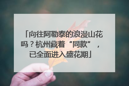 向往阿勒泰的浪漫山花吗？杭州藏着“同款”，已全面进入盛花期