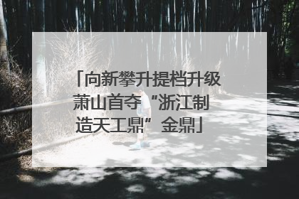 向新攀升提档升级 萧山首夺“浙江制造天工鼎”金鼎