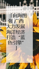 向海图强 广西大力发展海洋经济打造“蓝色引擎”