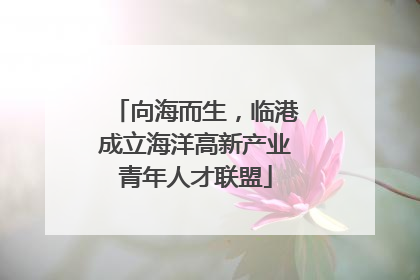 向海而生，临港成立海洋高新产业青年人才联盟