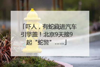 吓人，有蛇藏进汽车引擎盖！北京9天接9起“蛇警”……