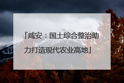 咸安：国土综合整治助力打造现代农业高地