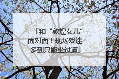 和“敦煌女儿”面对面！现场戏迷多到只能坐过道