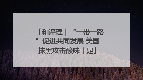 和评理｜“一带一路”促进共同发展 美国抹黑攻击酸味十足