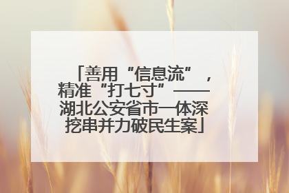 善用“信息流”，精准“打七寸”——湖北公安省市一体深挖串并力破民生案