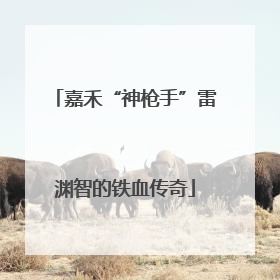 嘉禾“神枪手”雷渊智的铁血传奇