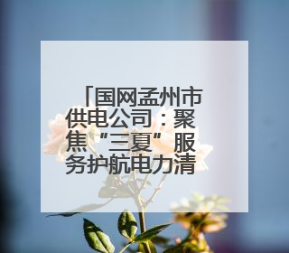 国网孟州市供电公司：聚焦“三夏”服务护航电力清风