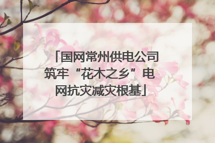 国网常州供电公司筑牢“花木之乡”电网抗灾减灾根基