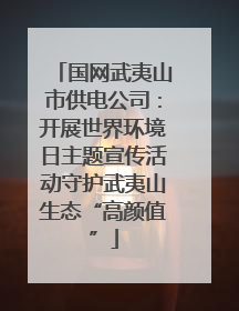 国网武夷山市供电公司：开展世界环境日主题宣传活动守护武夷山生态“高颜值”