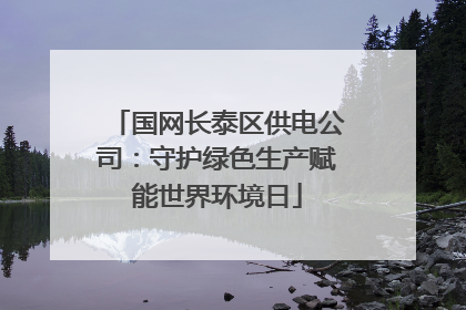 国网长泰区供电公司：守护绿色生产赋能世界环境日