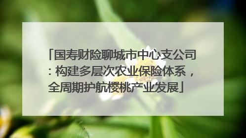 国寿财险聊城市中心支公司：构建多层次农业保险体系，全周期护航樱桃产业发展