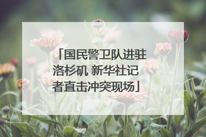 国民警卫队进驻洛杉矶 新华社记者直击冲突现场