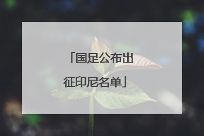 国足公布出征印尼名单