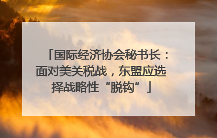 国际经济协会秘书长：面对美关税战，东盟应选择战略性“脱钩”