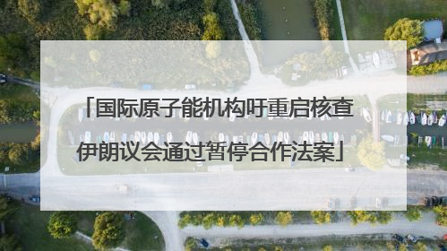 国际原子能机构吁重启核查 伊朗议会通过暂停合作法案