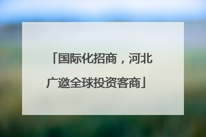 国际化招商，河北广邀全球投资客商