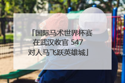 国际马术世界杯赛在武汉收官 547对人马飞跃英雄城