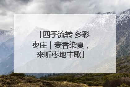 四季流转 多彩枣庄｜麦香染夏，来听枣地丰歌