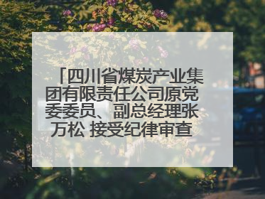 四川省煤炭产业集团有限责任公司原党委委员、副总经理张万松 接受纪律审查和监察调查