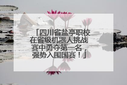 四川省盐亭职校在省级机器人挑战赛中勇夺第一名，强势入围国赛！