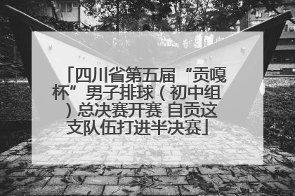 四川省第五届“贡嘎杯”男子排球（初中组）总决赛开赛 自贡这支队伍打进半决赛