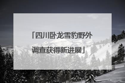 四川卧龙雪豹野外调查获得新进展