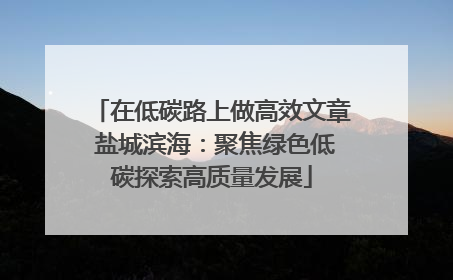 在低碳路上做高效文章 盐城滨海：聚焦绿色低碳探索高质量发展