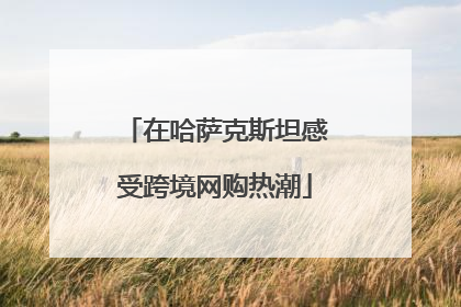在哈萨克斯坦感受跨境网购热潮