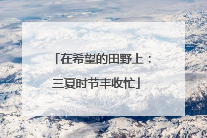 在希望的田野上：三夏时节丰收忙