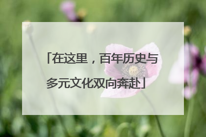 在这里，百年历史与多元文化双向奔赴